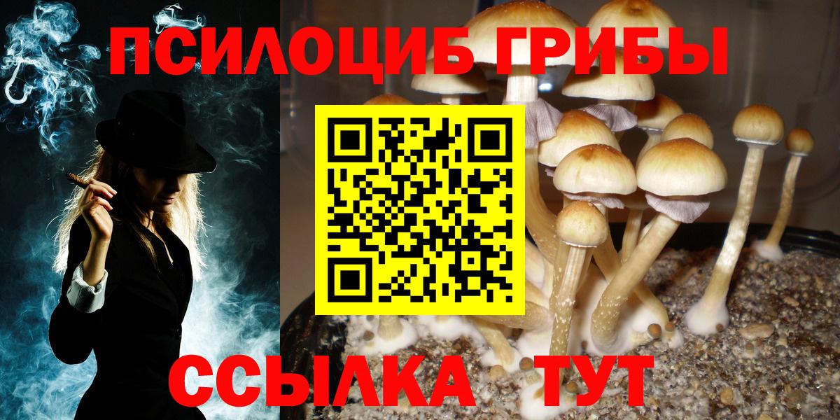 Борисоглебск  Псилоцибиновые грибы Psilocybe  Вход с VPN  цены   Псилоцибиновые грибы прущие грибы 